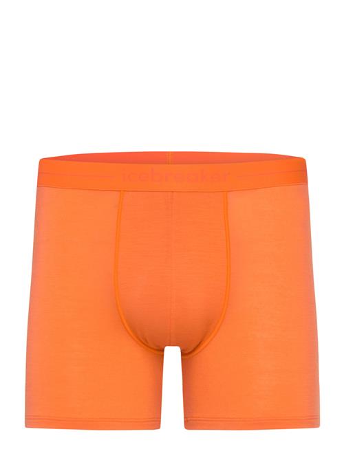 Icebreaker M Anatomica Boxers Icebreaker Orange