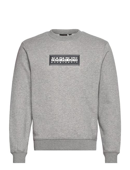 Se Napapijri Box Logo Sweatshirt Napapijri Grey ved Booztlet