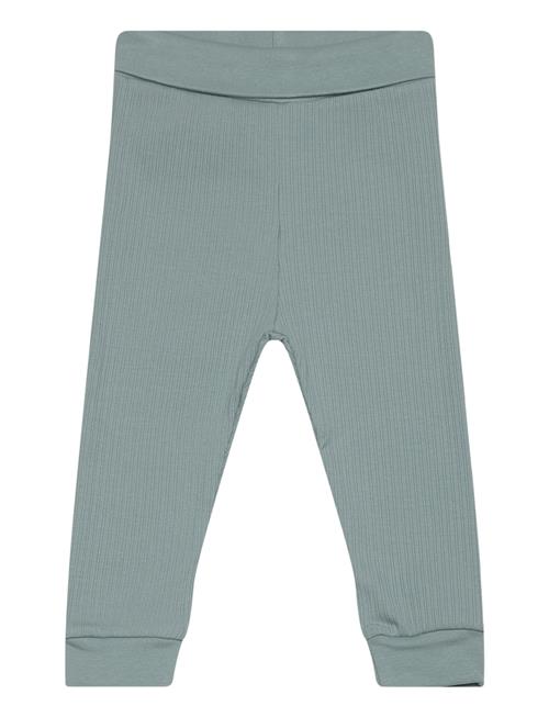 Fixoni Pants Rib Fixoni Green