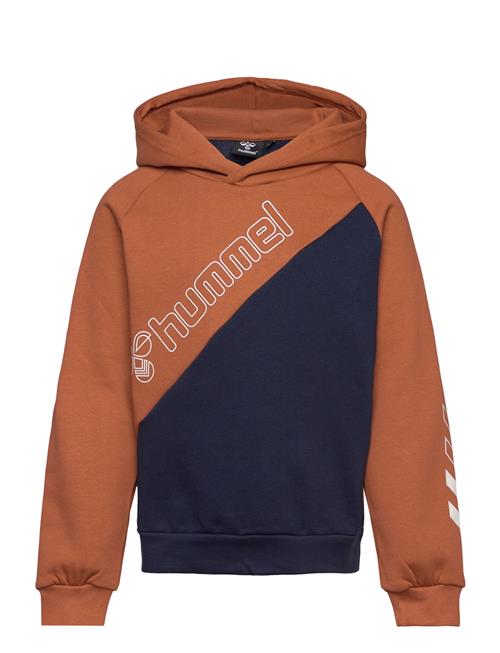 Hummel Hmlaxel Hoodie Hummel Brown