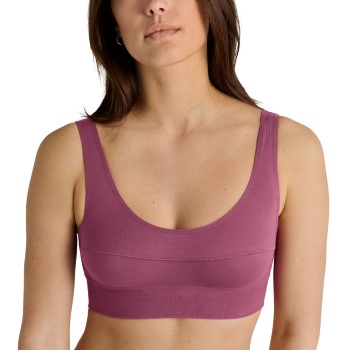 Calida Bh Elastic Top Gammelrosa bomuld Medium Dame