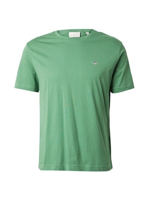 GANT Bluser & t-shirts  siv