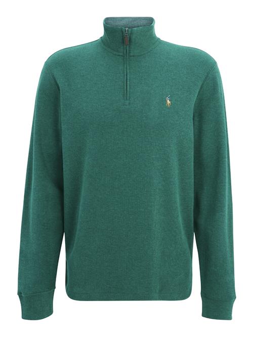 Polo Ralph Lauren Sweatshirt  camel / blå / gran / hvid