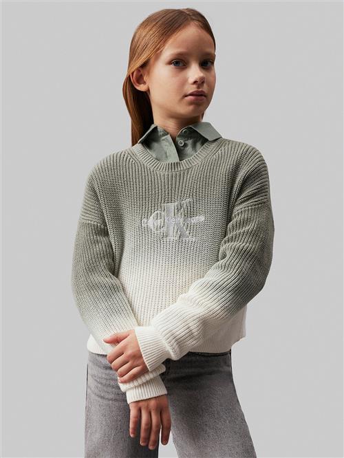 Se Calvin Klein Monogram Gradient Sweater Str 10 år - 0id Sweatshirts hos Magasin ved Magasin