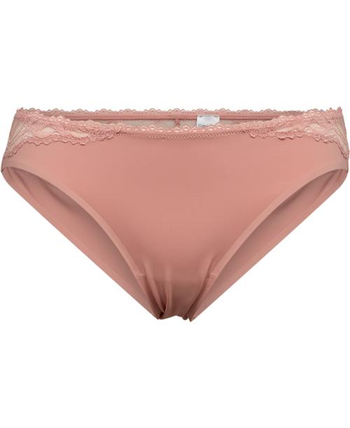 Calvin Klein Bikini Briefs Str L - hos Magasin