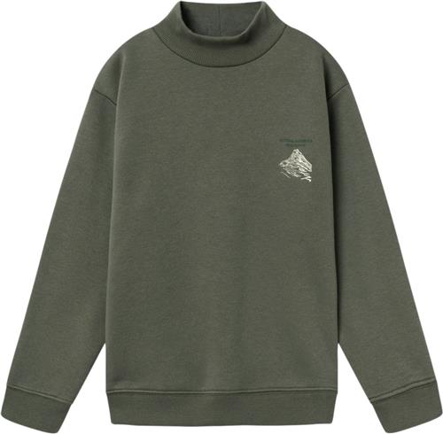 Name It Nkmnaskab LS Nreg Sweat BRU BOX Str 134/140 - Tea Leaf Sweatshirts hos Magasin