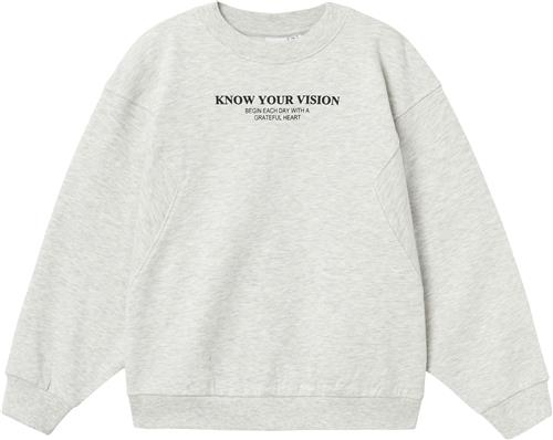 Se Name It Nkfnakonni LS RLX Sweat BRU Str 134/140 - Grå Sweatshirts hos Magasin ved Magasin