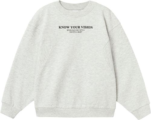 Name It Nkfnakonni LS RLX Sweat BRU Str 146/152 - Grå Sweatshirts hos Magasin