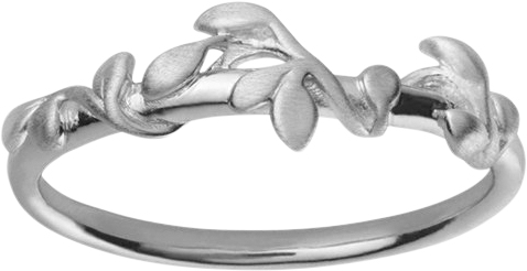 ByBiehl Jungle Ivy Ring Silver 54 - Ringe hos Magasin