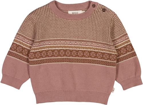 Wheat Jacquard Pullover Elias Str 68/6m - Pudder Strik Bomuld hos Magasin