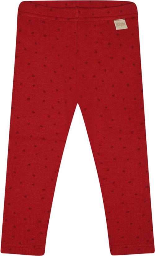 Se PETIT PIAO Legging Modal Dot Str 92 cm - Chili Pepper Dot Leggings Bomuld hos Magasin ved Magasin