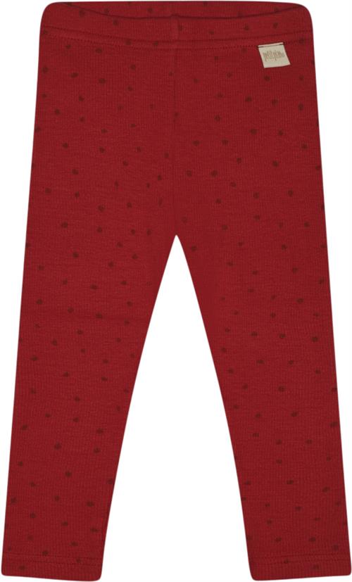 Se PETIT PIAO Legging Modal Dot Str 68 cm - Chili Pepper Dot Leggings Bomuld hos Magasin ved Magasin