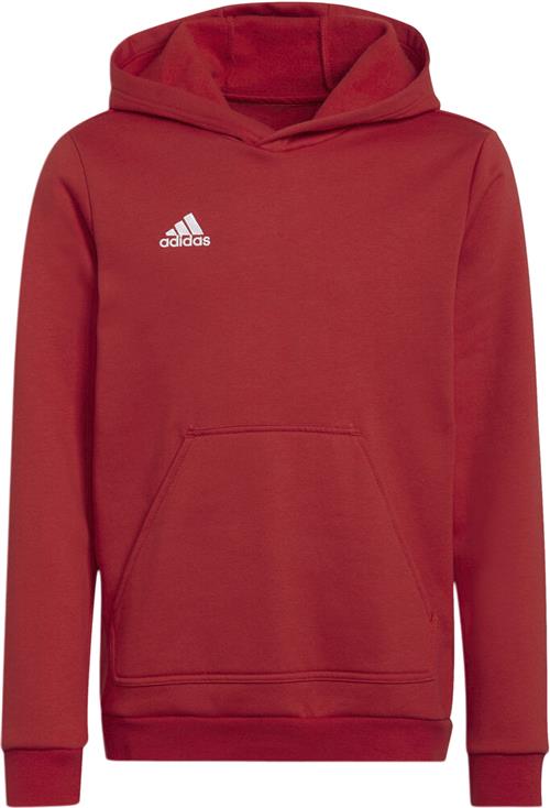 Se adidas Entrada 22 Sweat Hættetrøje 128 - Sweatshirts & Hættetrøjer Bomuld hos Magasin ved Magasin