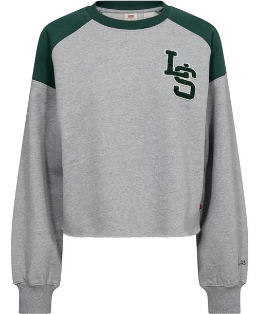 Levi's Graphic Campout Crew LS Monogr Kvinde Grå Sweatshirts Str M - hos Magasin