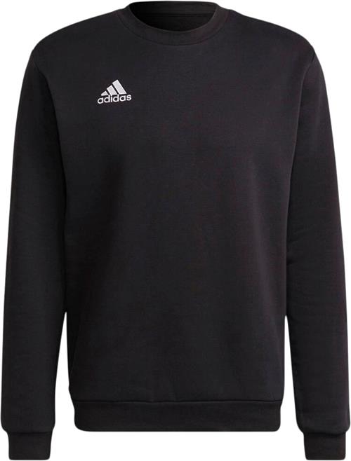 adidas Entrada 22 Sweatshirt XS - Sweatshirts Bomuld hos Magasin