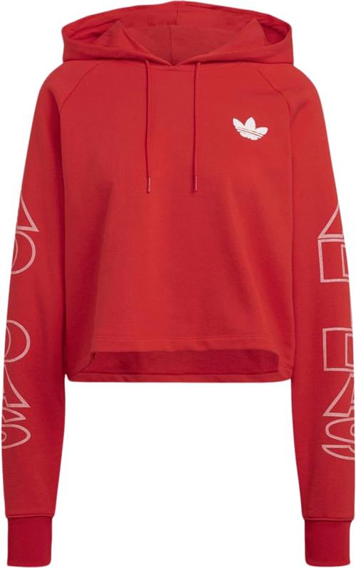 adidas Cropped Hoodie Kvinde Red Hættetrøjer Str 24 - Bomuld hos Magasin