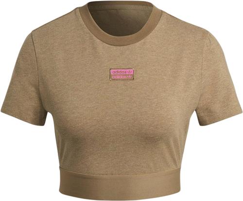 adidas Cropped TEE Kvinde Brown Toppe Str 38 - Bomuld hos Magasin