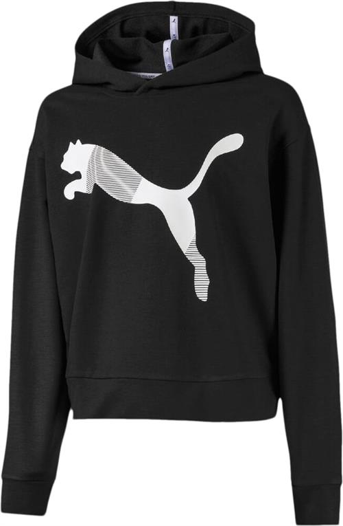 Se Puma Modern Sports Hoodie 110 - Sweatshirts & Hættetrøjer Polyester hos Magasin ved Magasin