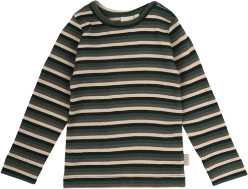 PETIT PIAO Tshirt L/S Modal Multi Striped Str 80 cm - Emerald Green Mul Langærmede T-shirts Bomuld hos Magasin