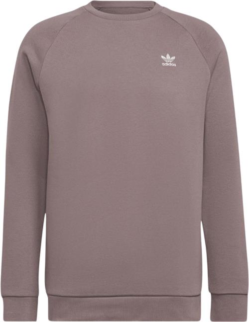 adidas Adicolor Essential Trefoil Crewneck Sweatshirt Mand Pink Sweatshirts Str M - Bomuld hos Magasin