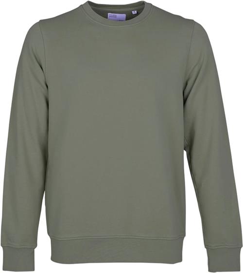 Colorful Standard Classic Organic Crew Mand Dusty Olive Sweatshirts Str L - Bomuld hos Magasin