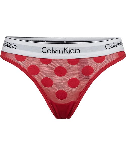 Calvin Klein Thong Briefs Str XL - hos Magasin