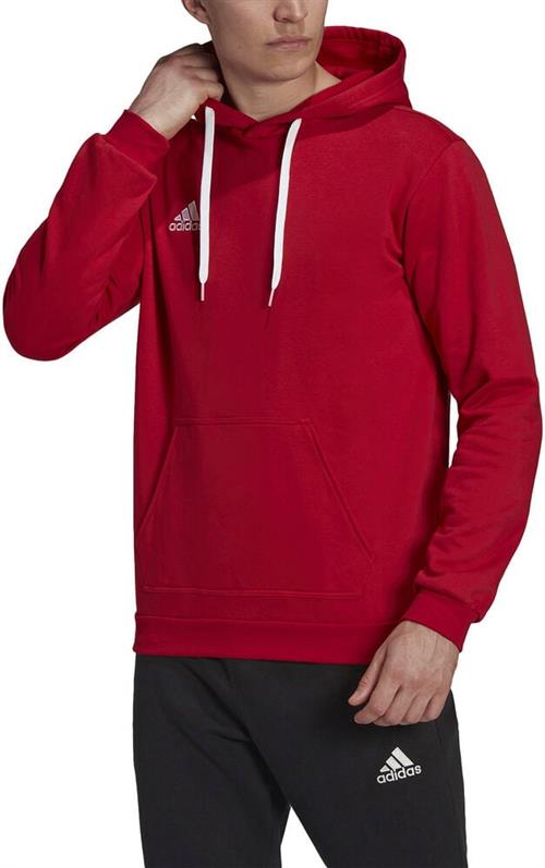 adidas Entrada 22 Sweat Hættetrøje L - Hættetrøjer Bomuld hos Magasin