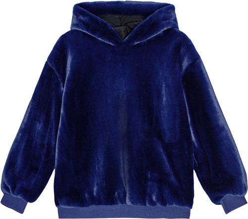 Molo Maureen Str 6 år / 116 cm - Blå Sweatshirts hos Magasin