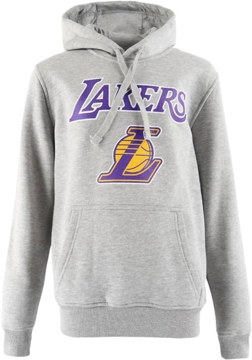 Se New Era Team Logo PO Hoody Loslak LGH Mand Los Angeles Lakers Hoodies Str XXL - Bomuld hos Magasin ved Magasin