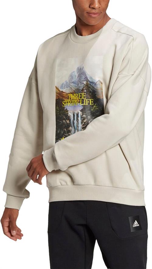 Se adidas Adidas Sportswear Mountain Graphic Trøje XL - Sweatshirts Bomuld hos Magasin ved Magasin