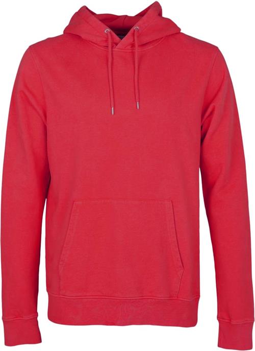 Colorful Standard Classic Organic Hood Kvinde Scarlet Red Hættetrøjer Str S - Bomuld hos Magasin