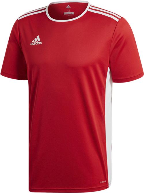 Se adidas Entrada 18 Tshirt M - T-shirts hos Magasin ved Magasin