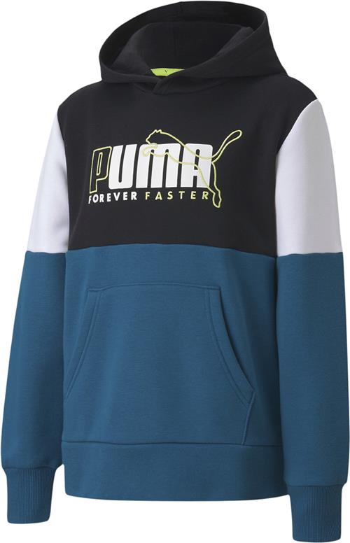 Puma Alpha Hættetrøje 116 - Sweatshirts & Hættetrøjer hos Magasin