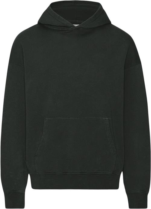 Colorful Standard Organic Oversized Hood Mand Midnight Forest Hoodies Str XL - hos Magasin