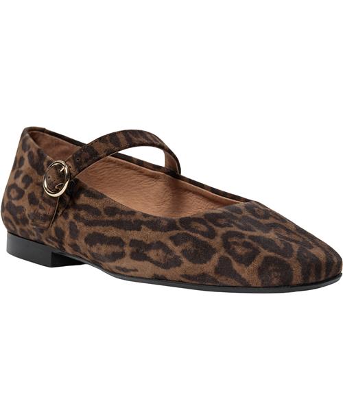 Se Billi Bi Ballerina A6800 Kvinde Leopardo Arabica Suede 546 Ballerinaer Str 41 - hos Magasin ved Magasin