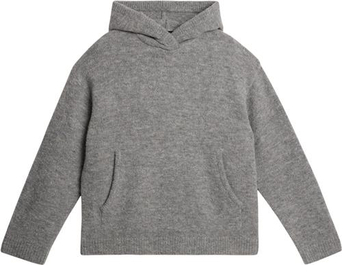 J. Lindeberg Broon Alpaca Blend Hoodie Mand Mid Grey Melange Hoodies Str S - hos Magasin