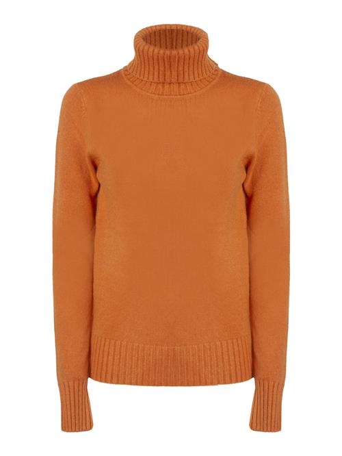 Se Influencer Pullover  orange ved About You