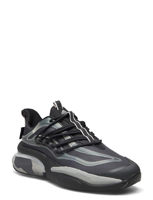 Se adidas Sportswear Alphaboost V1 Adidas Sportswear Black ved Booztlet