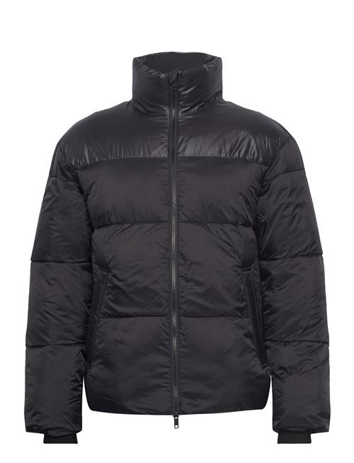 Contrast Quality Padded Jacket Lindbergh Black