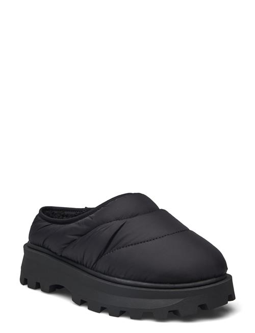 Frost Slip-On Steve Madden Black