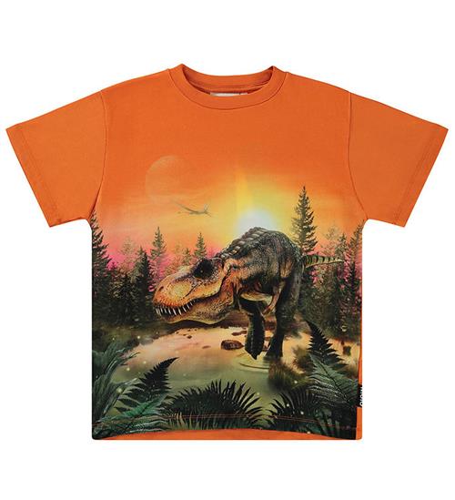 Molo T-shirt - Riley - Dino Lake