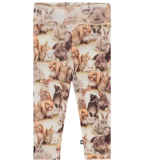 Se Molo Leggings - Uld - Sting - Baby Rabbits ved KidsWorld