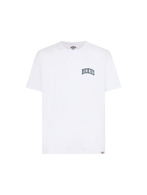 DICKIES Bluser & t-shirts 'AITKIN'  sort / hvid