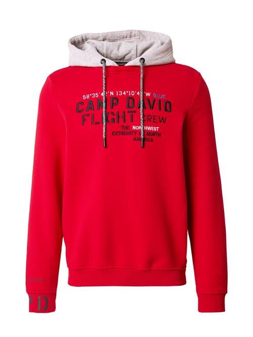 CAMP DAVID Sweatshirt  grå-meleret / rød / sort / hvid