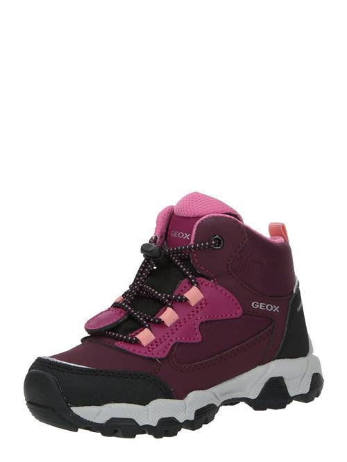 GEOX Snowboots  cyclam / bær