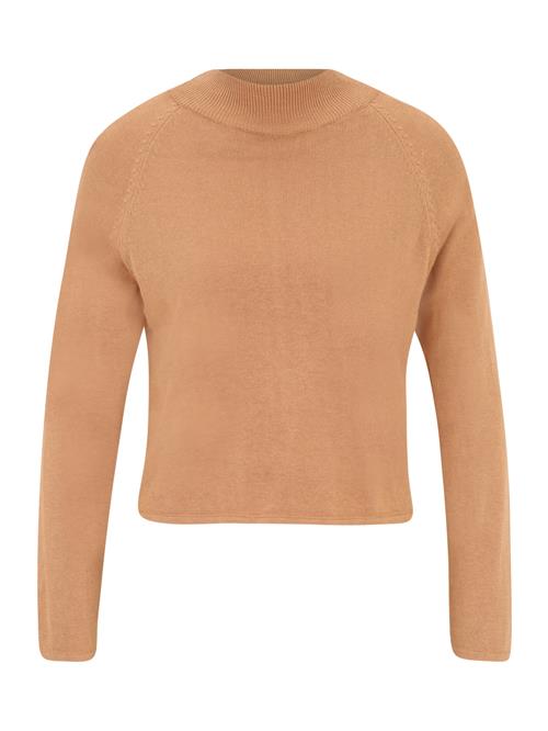 Pieces Petite Pullover 'ADINNA'  lysebrun