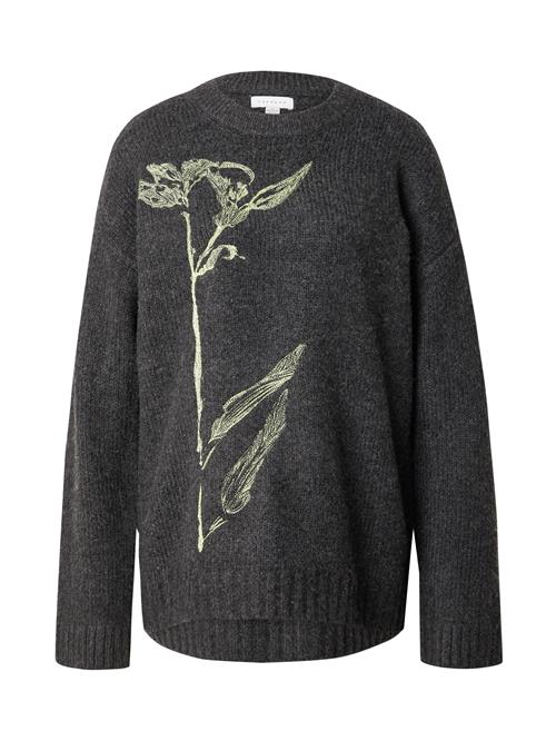 TOPSHOP Pullover  mørkegrå / siv