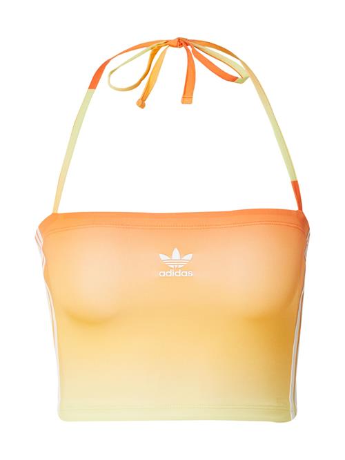 Se ADIDAS ORIGINALS Overdel  orange / lyseorange / hvid ved About You