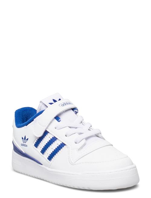 Se adidas Originals Forum Low I Adidas Originals White ved Booztlet