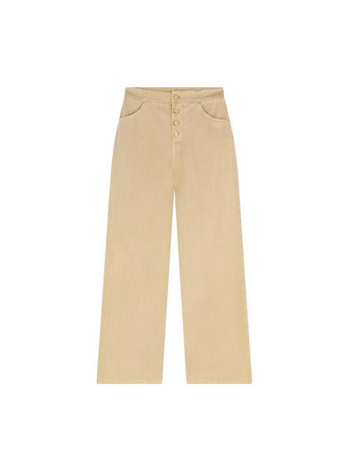 Scalpers Jeans  camel